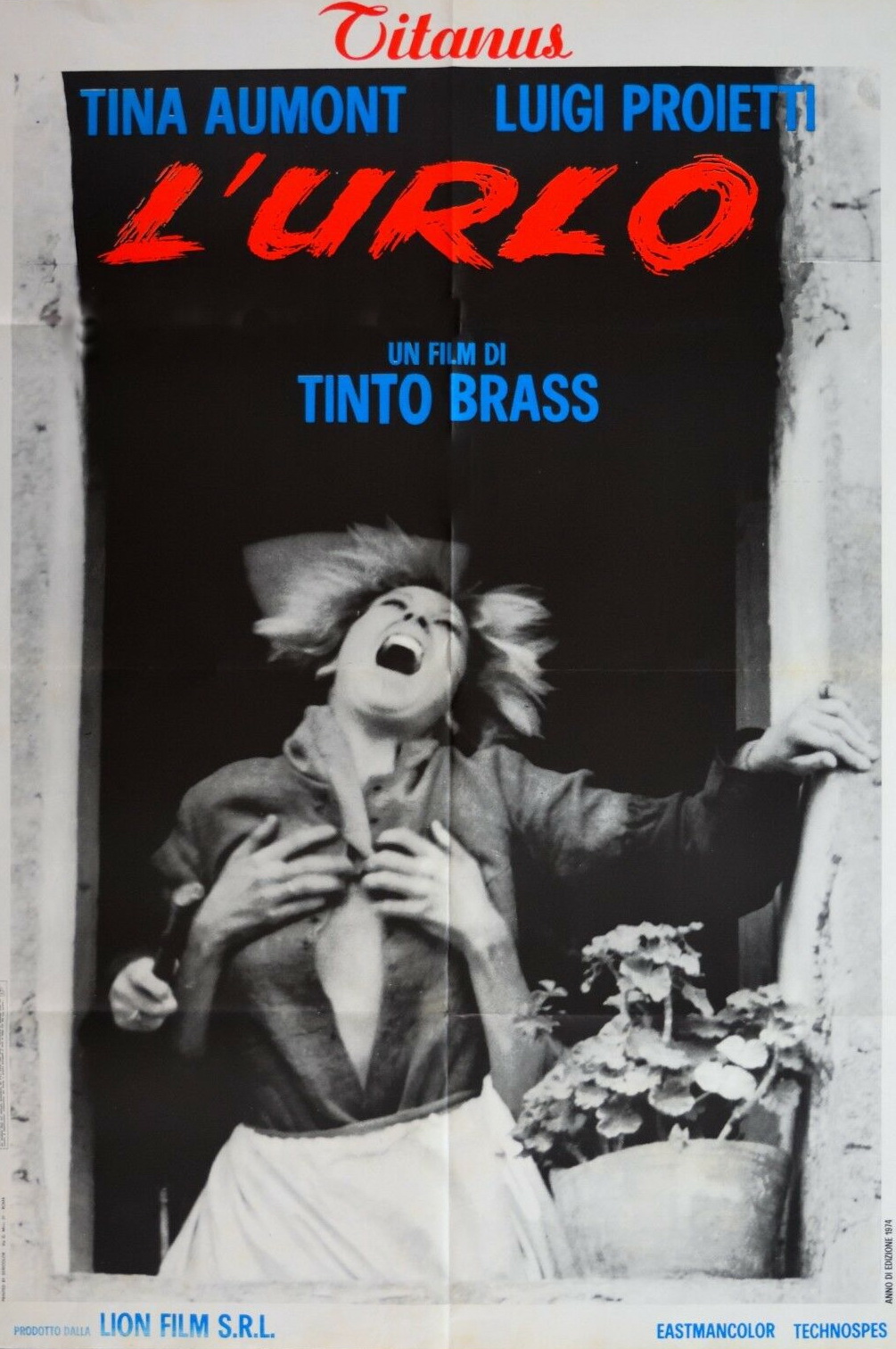 SPECIALE TINTO BRASS